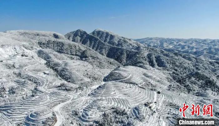 まるで「アナと雪の女王」のような景色広がる雪に包まれた茶畑　貴州省