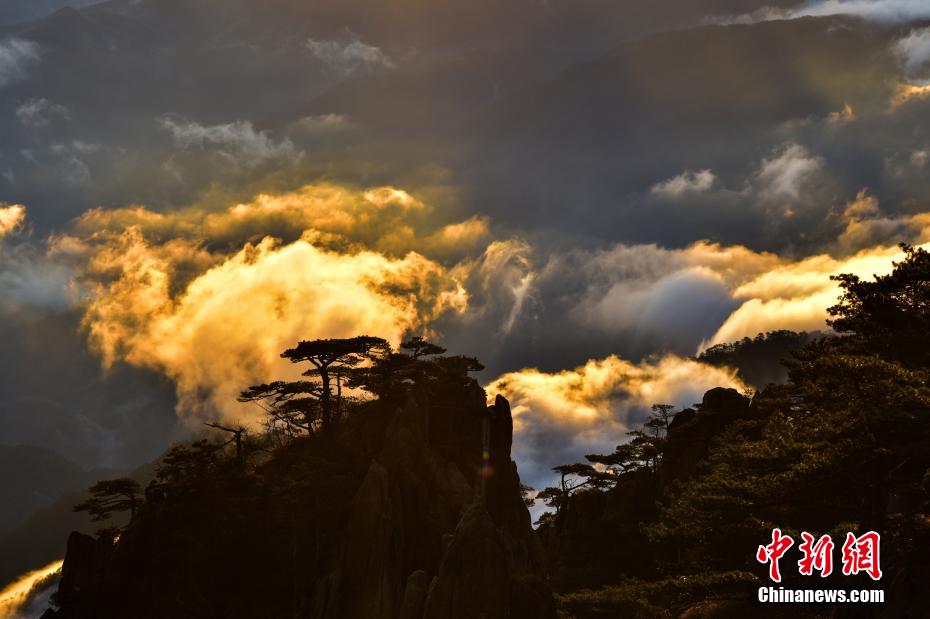 雲(yún)海を黃金色に照らす朝焼けの光　安徽省黃山