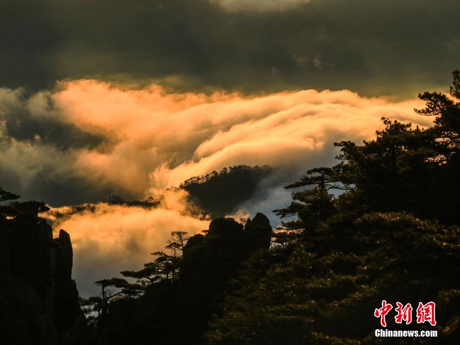 1月24日、安徽省黃山景勝地に現(xiàn)れた巨大な雲(yún)海の景観（撮影?李金剛）。