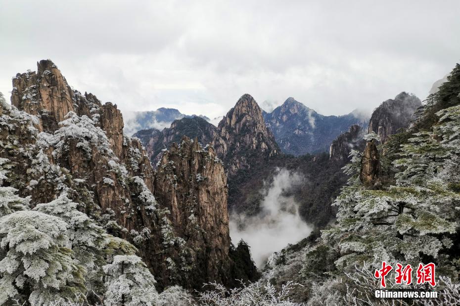 黃山景勝地の氷に覆われ、クリスタルのような美しさをたたえる霧氷。