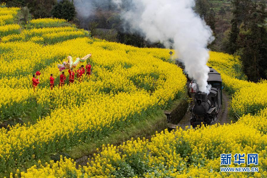 蒸気機関車に乗って、花畑を駆け抜けよう！　四川省