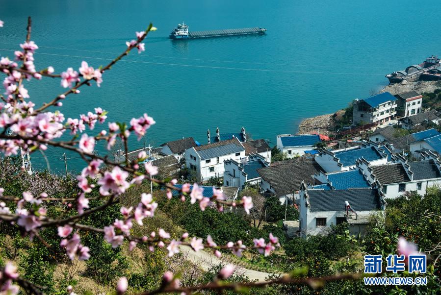 3月3日、湖北省宜昌市秭帰県域內(nèi)の長江三峽を航行する船舶（撮影?鄭家裕）。