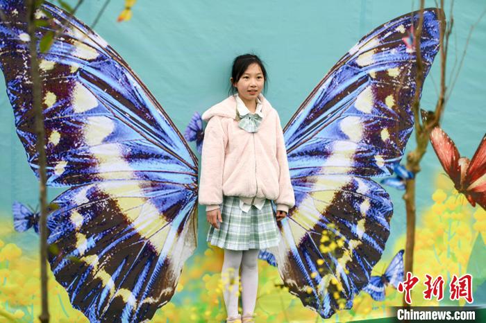 菜の花畑とチョウを堪能できるイベント開催　湖南省平江