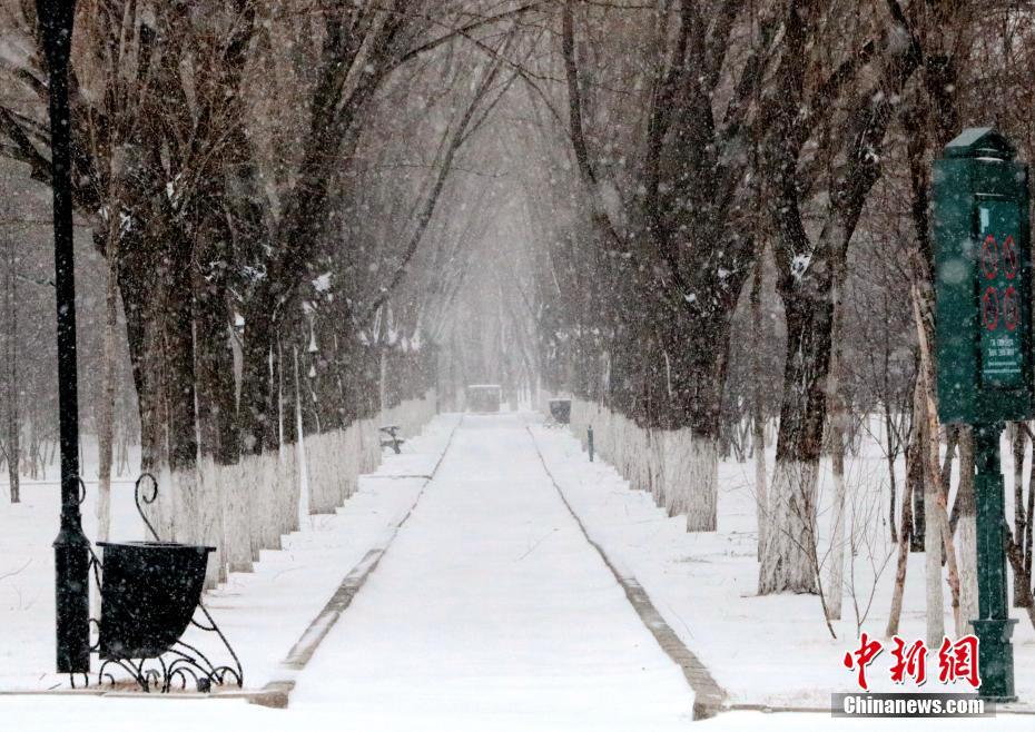 4月の大雪に見(jiàn)舞われた中ロ國(guó)境の都市　黒竜江省黒河市