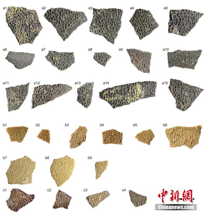 中國科學(xué)院、約8000萬年前の恐竜の卵殻を発見