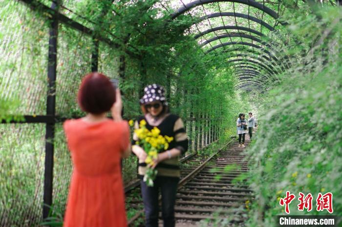 廃線路が「花の遊歩道」に大変身　重慶