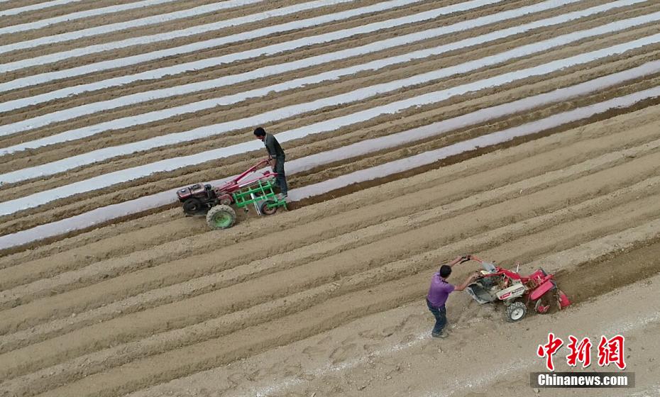 春の農(nóng)作業(yè)に勵(lì)む農(nóng)民を上空から撮影　湖北省の三峽ダムエリア