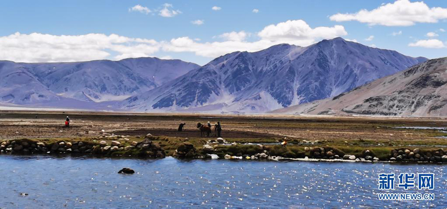 チベット定結の濕地、鏡のように靜かな水面