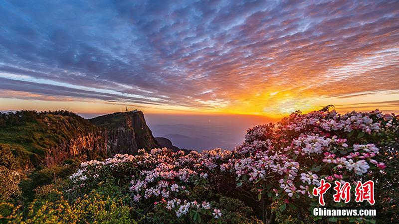 標高3099メートル！峨眉山の最高峰?萬仏頂の一般公開再開へ