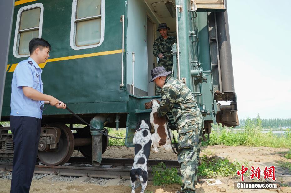 ハルビンの警察犬訓(xùn)練基地を訪ねて　黒竜江省