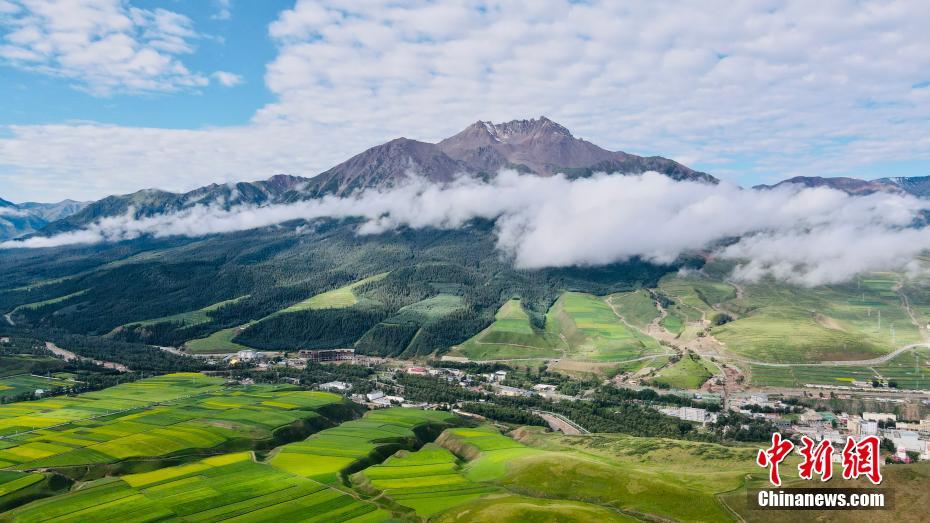 上空から撮影した美しい祁連山の夏の風(fēng)景（ドローンによる撮影?李江寧）。