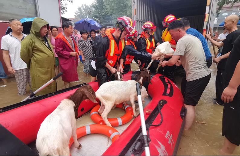 豪雨の中、奮闘する救援部隊(duì)の人々　河南省