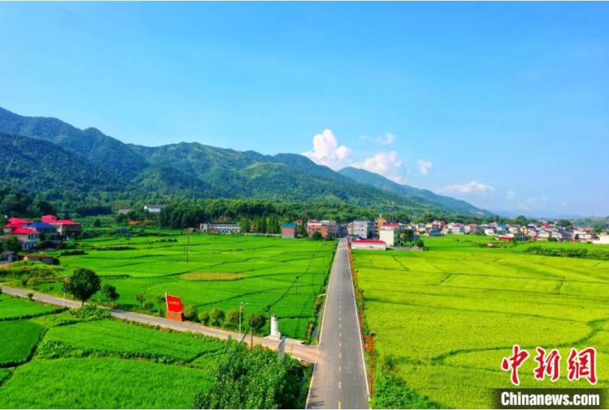 絵のように美しい立秋の田園風(fēng)景　江西省蘆渓