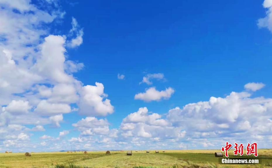 天高く白雲(yún)浮かぶ初秋のフルンボイル草原　內(nèi)モンゴル