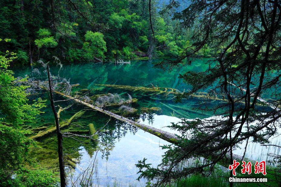 四川省九寨溝県の「もう一つの明珠」と稱えられている嫩恩桑措景勝地