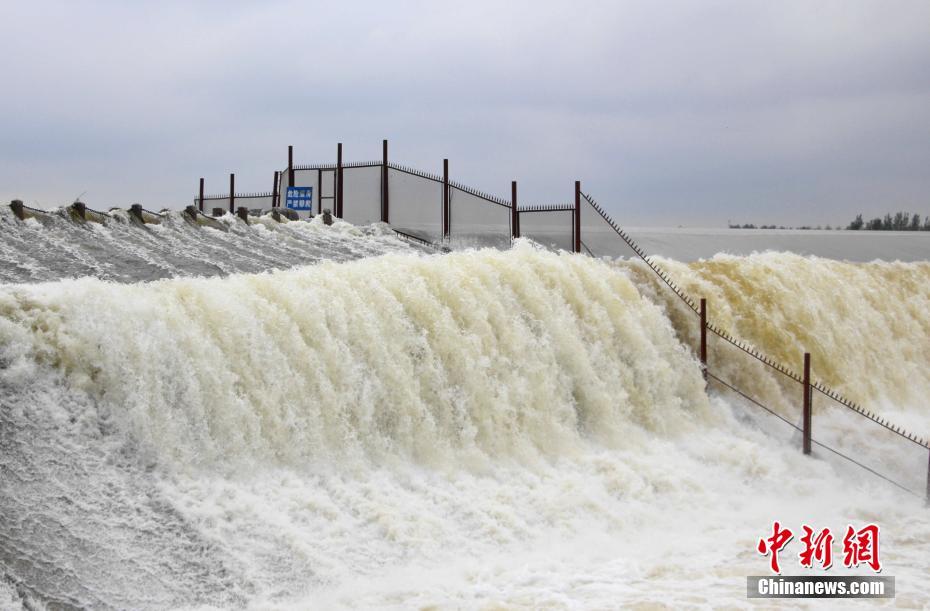 連日の豪雨の影響を受け、壯観な光景を目にすることができる運河水利の重要地である戴村壩（撮影?趙暁）。