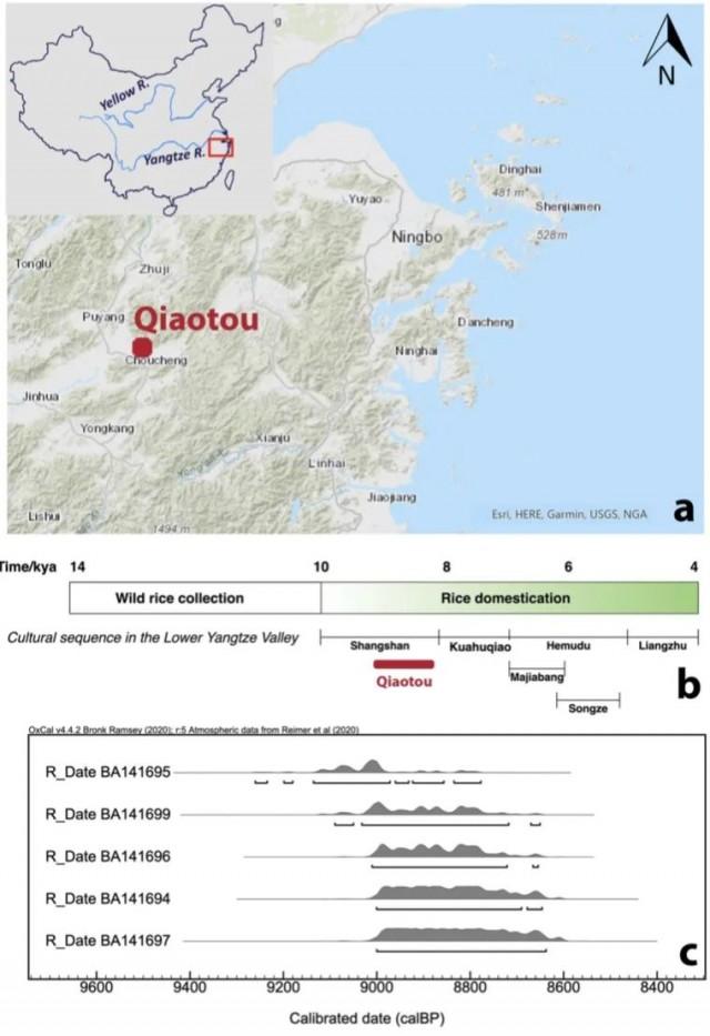 9千年前の南方エリアの人がビールを飲んでいた「根拠」が遺跡から発見