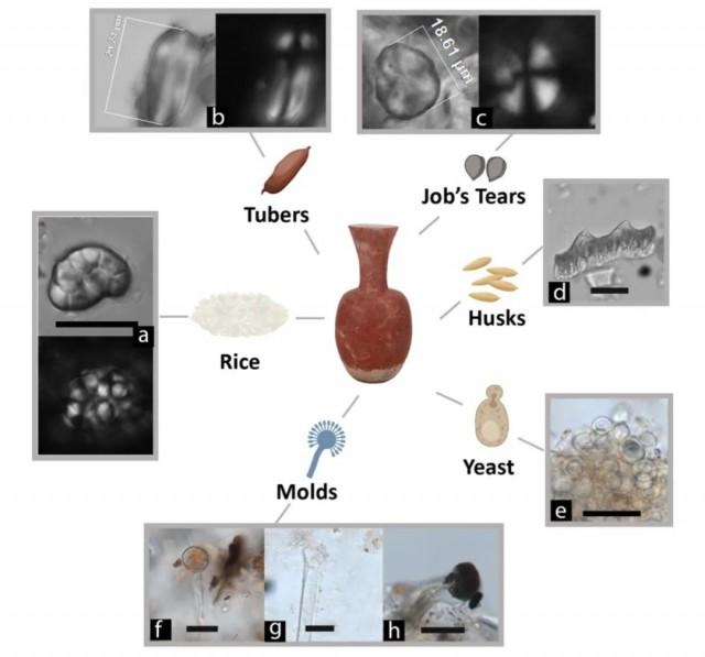 9千年前の南方エリアの人がビールを飲んでいた「根拠」が遺跡から発見
