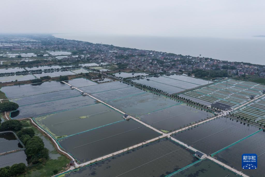 9月8日、浙江省湖州市織里鎮(zhèn)喬溇村で、上空から撮影した太湖に隣接した生態(tài)水産養(yǎng)殖基地（ドローンによる撮影?徐昱）。