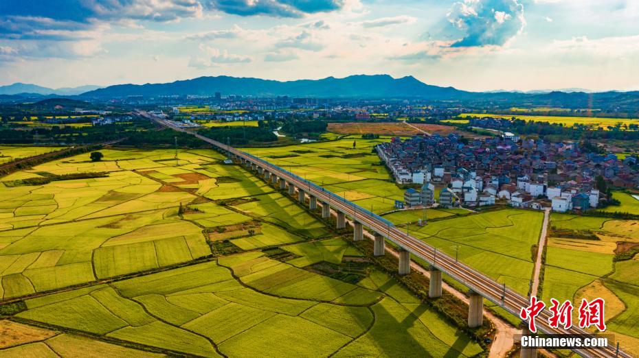 上空から撮影した、江西省吉安市峽江県にある郷村の田園風(fēng)景（撮影?李小明）。