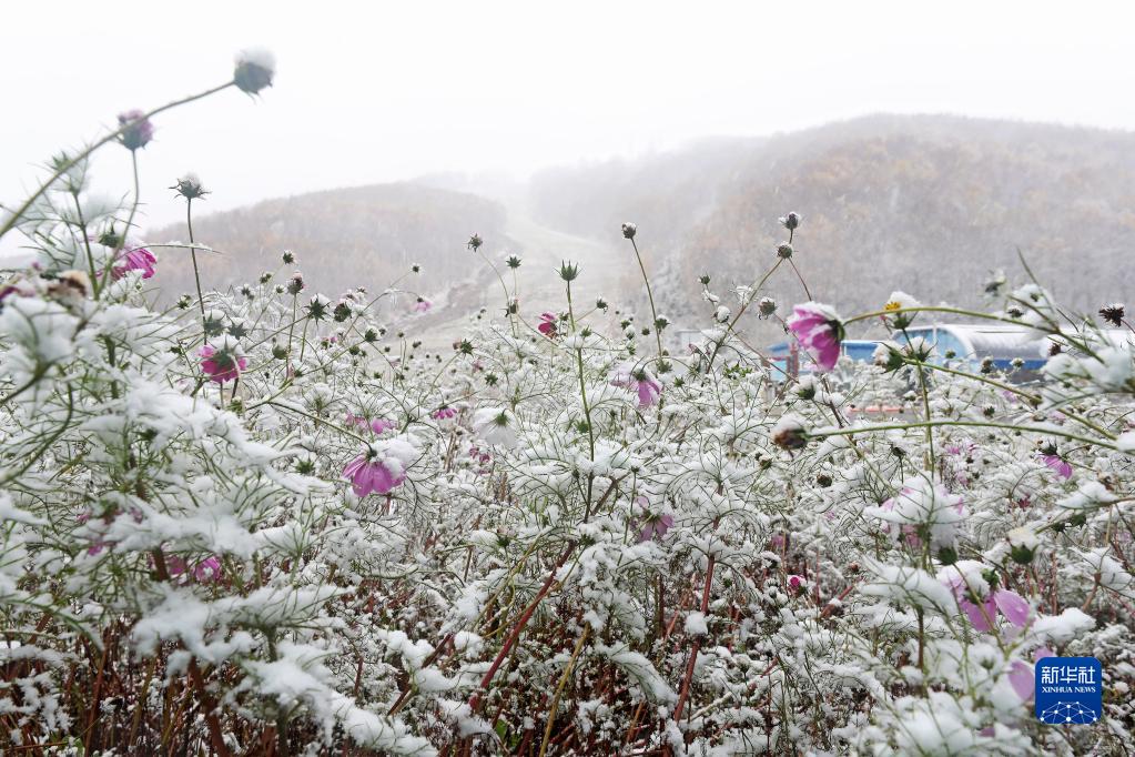 冬季五輪會(huì)場(chǎng)に降る秋の雪　?河北省崇禮