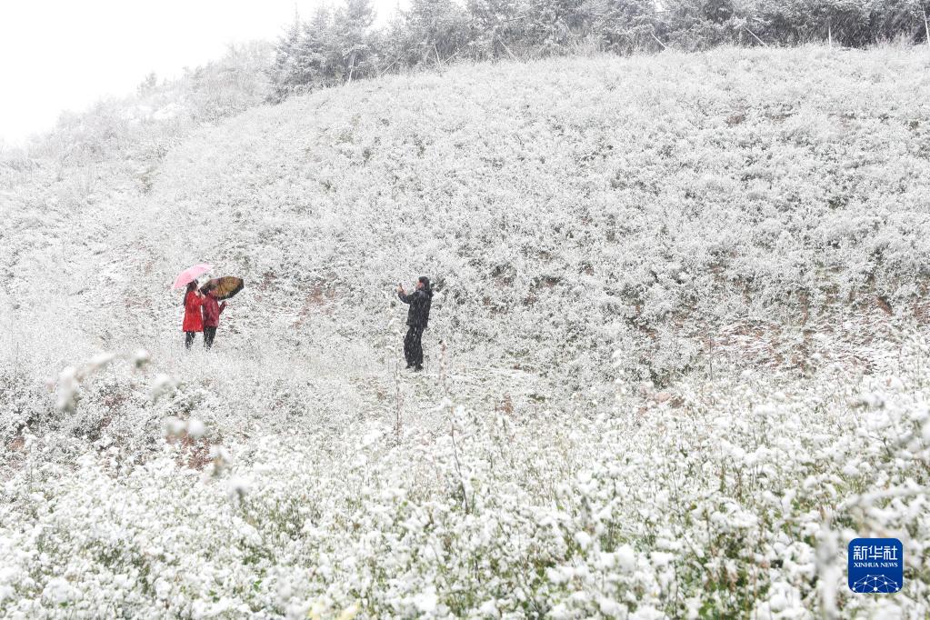 冬季五輪會場に降る秋の雪　?河北省崇禮