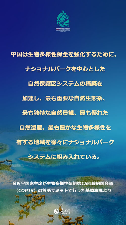 習(xí)近平國(guó)家主席「CO2排出量ピークアウト、カーボンニュートラル『1+N』政策システムを構(gòu)築」