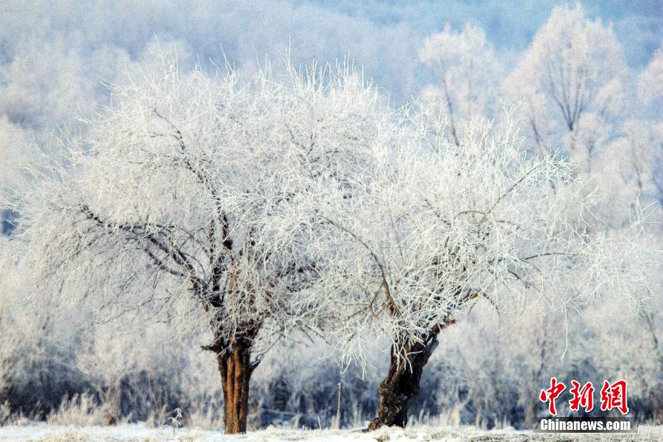 今年初めての霧氷が観測(cè)された?jī)?nèi)モンゴル?アルグン