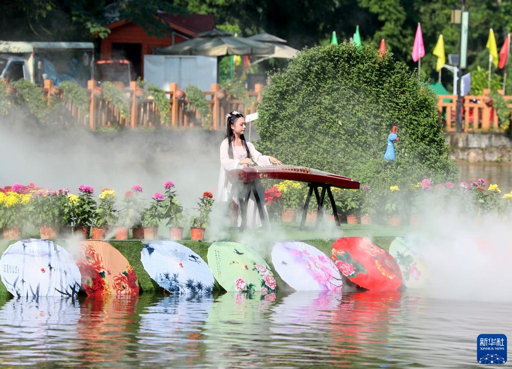 10月23日、四川省華鎣市華竜街道（エリア）で開かれた菊花展で箏を演奏する演奏者（撮影?邱海鷹）。