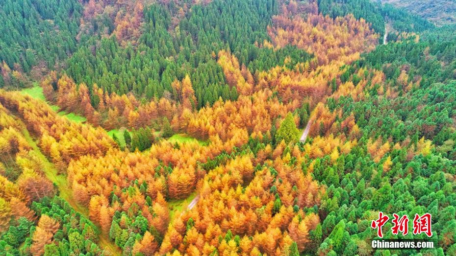 秋深まり美しい紅葉広がる湖北省の恩施大峽谷