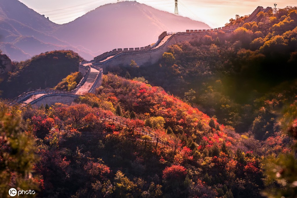 美しい八達嶺長城の紅葉（10月26日撮影、寫真著作権は東方ICが所有のため転載禁止）。