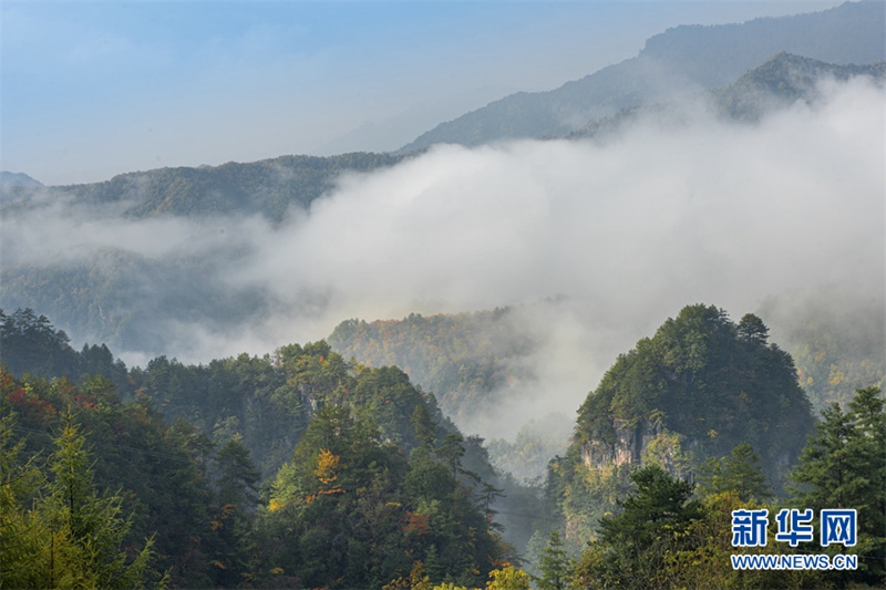 神農(nóng)架の秋景色が見(jiàn)頃！　目を奪う自然の饗宴