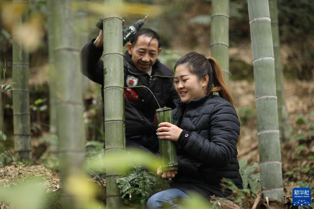 竹酒を「植える」ビジネスを展開するミャオ族の女性　貴州省