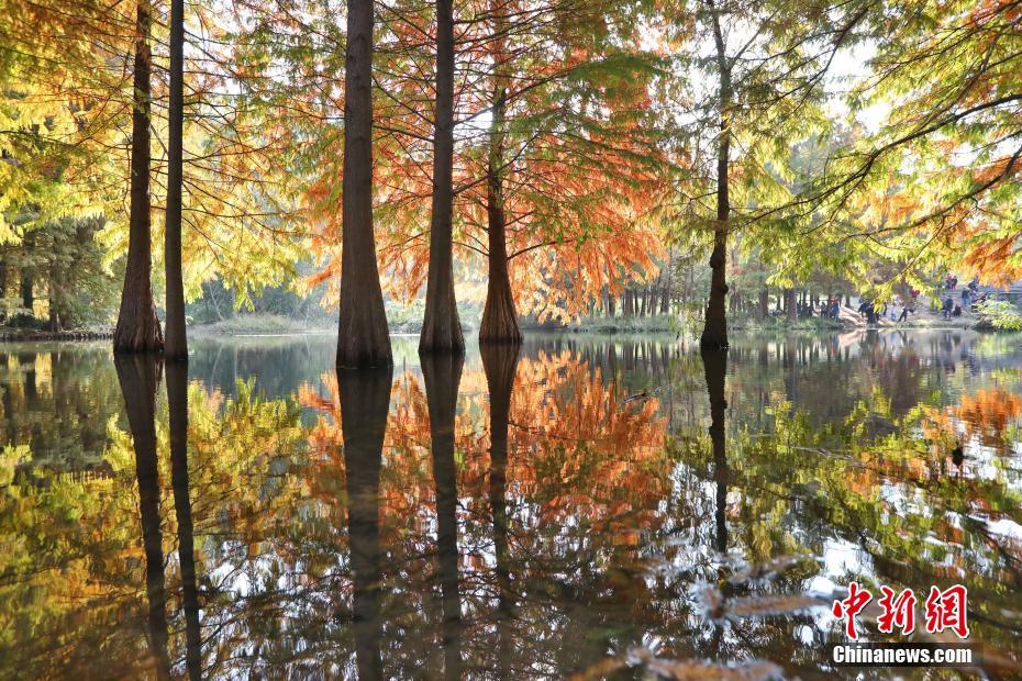 南京の燕雀湖に広がる美しい風(fēng)景　江蘇省