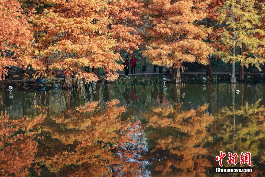 南京の燕雀湖に広がる美しい風(fēng)景　江蘇省