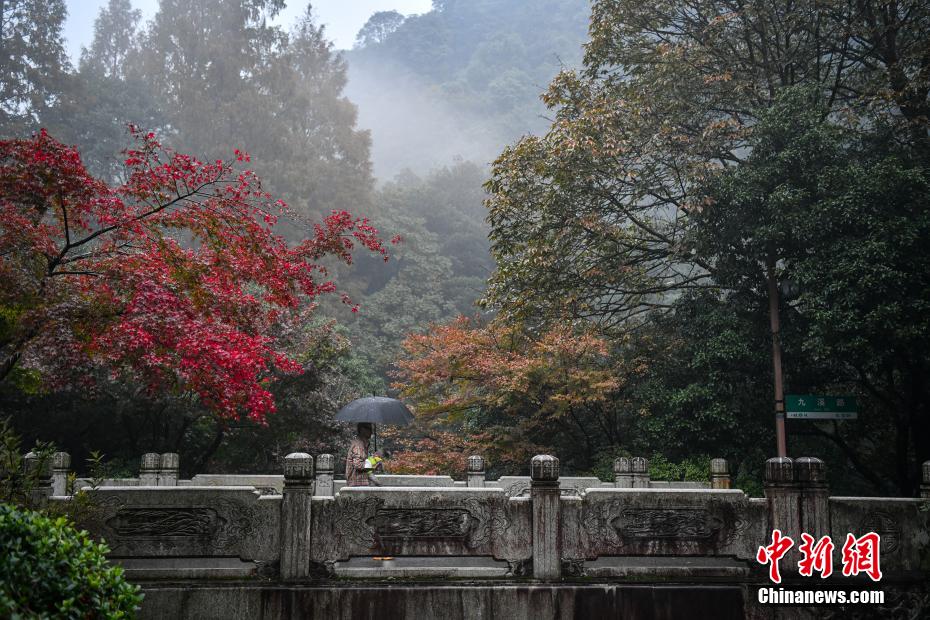 紅葉に魅了され寫真撮影を楽しむ観光客　浙江省杭州