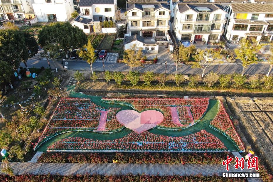 11月23日、上空から撮影した江蘇省昆山市周荘鎮(zhèn)の美しい郷村（撮影?泱波）。