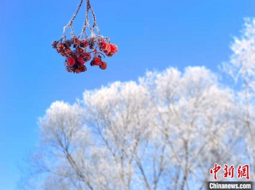 霧氷の美しい風(fēng)景が現(xiàn)われた中ロ國(guó)境の河畔（撮影?肖玉華）。