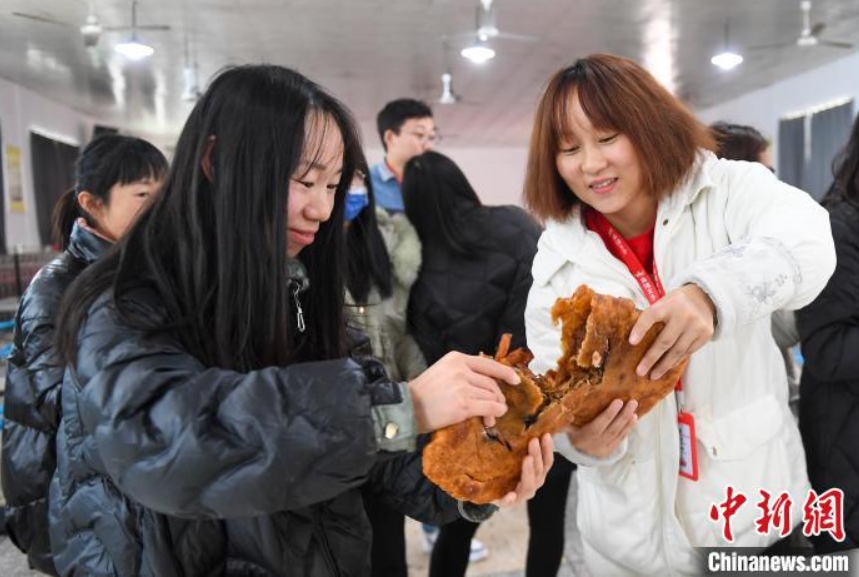 冬至を控え工場(chǎng)の食堂が辣條入りジャンボ餃子を制作　湖南省平江