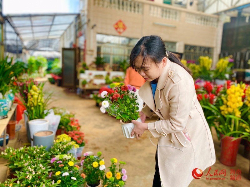 海南省の新春花の市にも年越しムードが濃厚に