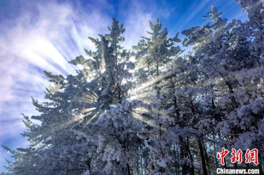 六盤山で年明け初の雪　寧夏