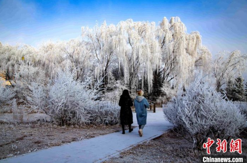 六盤山で年明け初の雪　寧夏