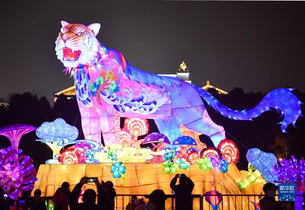 大唐芙蓉園で寅年をテーマとしたランタンを観賞する観光客（2月10日撮影?邵瑞）。