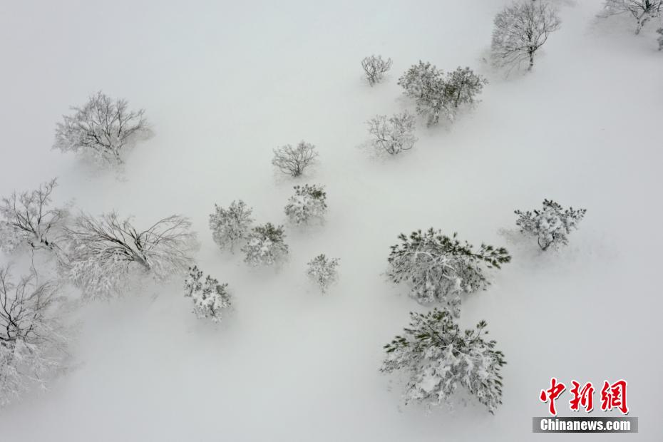 幻想的な風(fēng)景広がる重慶の菖蒲高山生態(tài)観光リゾート