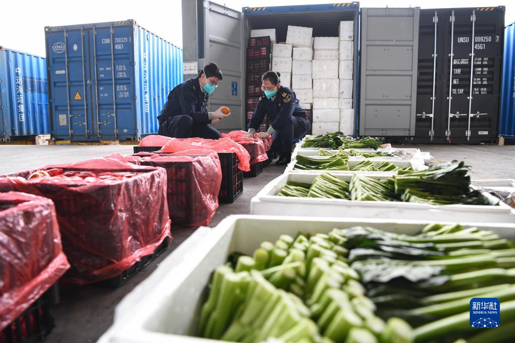 2月21日、深セン港大鏟灣で、香港地區(qū)向けの野菜の検査を行う深セン稅関職員（撮影?梁旭）。