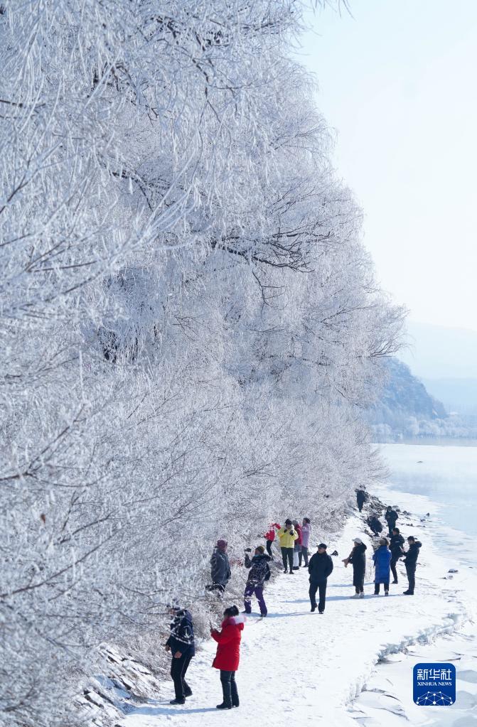 吉林省吉林市松花江河畔で、美しい霧氷の風(fēng)景を鑑賞する市民（2月22日撮影?顔麒麟）。