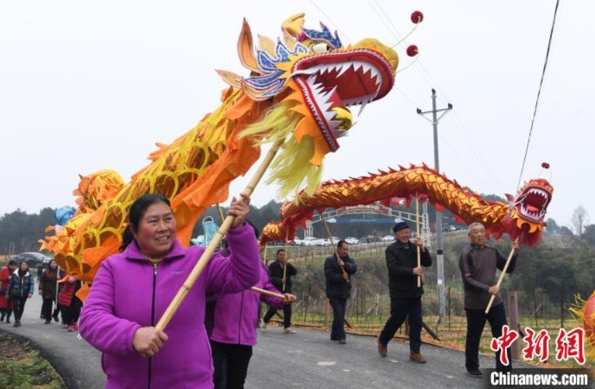 菜の花畑で竜の舞を踴り幸福を祈る村民（撮影?陳超）。