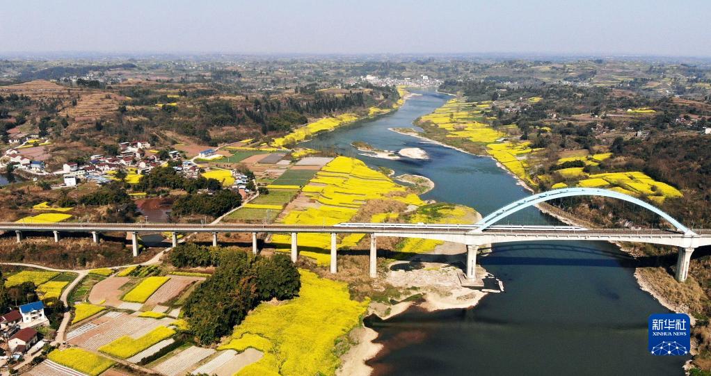 3月7日、四川省成都と重慶を結(jié)ぶ成渝高速鉄道の四川省內(nèi)江區(qū)間を走る高速鉄道列車（ドローンで撮影?黃正華）。