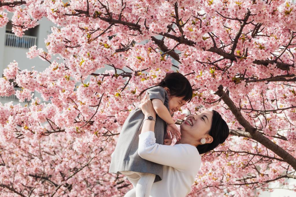 春到來、桜咲く日本の東京