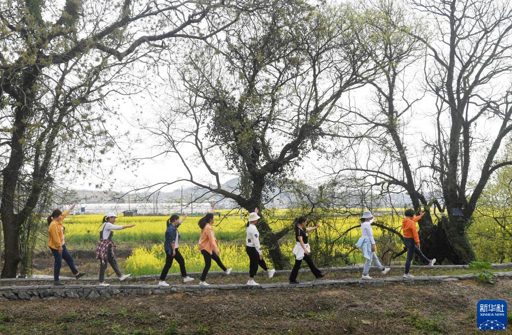 観光ブームが盛り上がり見せる春の郷村　広西